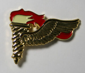 Pathfinder Pin