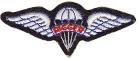 Rigger patch color