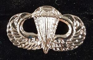 Mini Novice wings